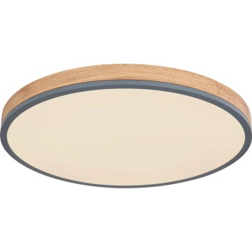 Globo - Himmennettävä LED-kattovalaisin LED/40W/230V 2700-6500K halkaisija 60 cm + kauko-ohjaus ruskea/harmaa