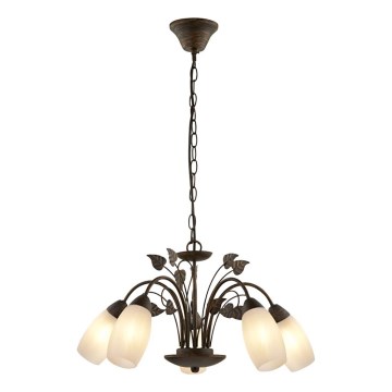 Globo - Kattokruunu ketjussa 5xE14/40W/230V