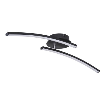 Globo - Kiinteä LED-kattokruunu 2xLED/6W/230V 3000/4000/6000K