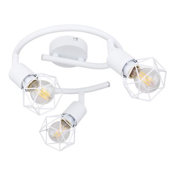 Globo - Kohdevalo 3xE14/40W/230V