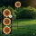 Globo - kukkamallinen LED-aurinkovalaisin 200xLED/3V IP44 600 mAh