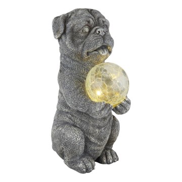 Globo - LED aurinkokennovalaisin LED/0,02W/3V IP44 300 mAh koira