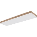 Globo - LED himmennettävä kattovalaisin LED/24W/230V 2700-6500K 20x80 cm + kaukosäädin