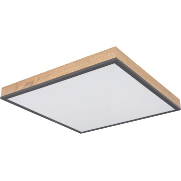 Globo - LED himmennettävä kattovalaisin LED/24W/230V 3000-6500K 45x45 cm