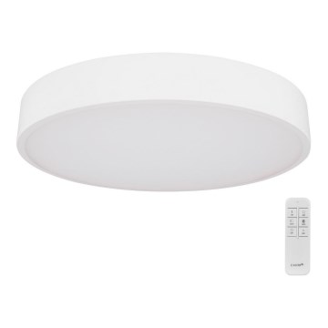 Globo - LED Himmennettävä kattovalo LED/24W/230V 3000-6000 + kaukosäädin