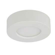 Globo - LED-kattovalaisin kylpyhuoneessa 1xLED/6W/230V