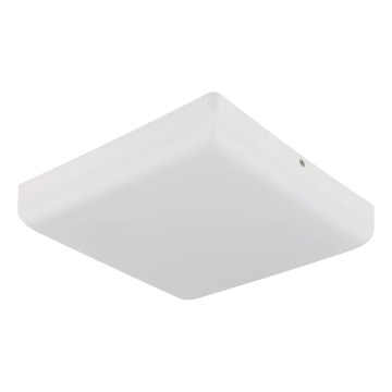 Globo - LED-kattovalaisin LED/12W/230V 4000K 22x22 cm valkoinen