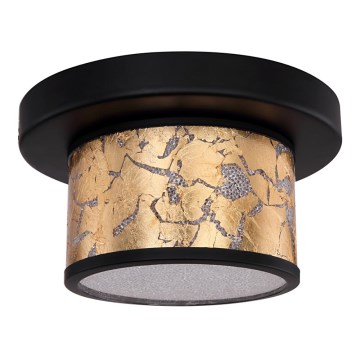 Globo - LED-kattovalaisin LED/12W/230V