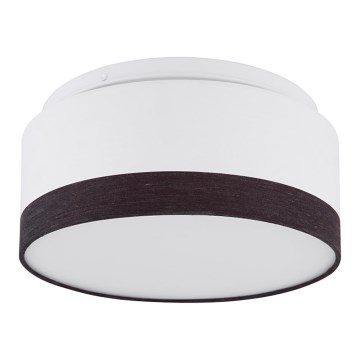 Globo - LED-kattovalaisin LED/12W/230V