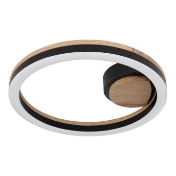 Globo - LED-kattovalaisin LED/12W/230V