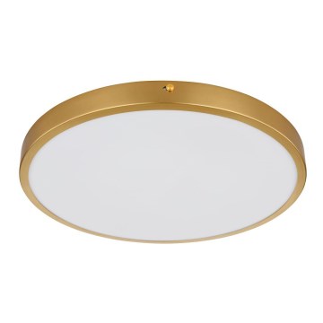 Globo - LED-kattovalaisin LED/22W/230V halkaisija 35 cm