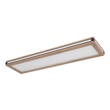 Globo - LED-kattovalaisin LED/24W/230V 20x80 cm