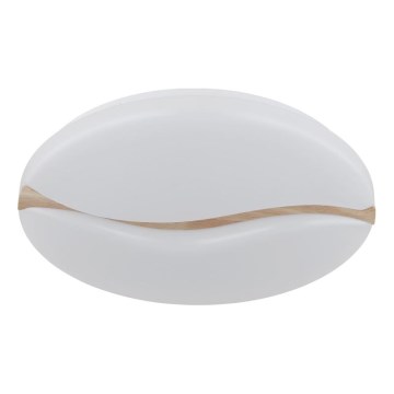 Globo - LED-kattovalaisin LED/24W/230V 3000/4200/6000K halkaisija 33 cm