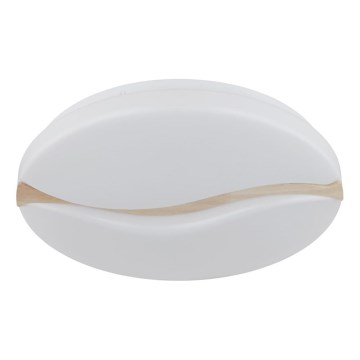 Globo - LED-kattovalaisin LED/24W/230V 3000/4200/6000K halkaisija 39 cm