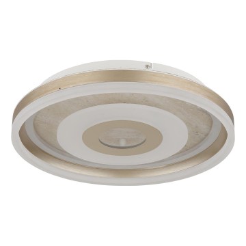 Globo - LED-kattovalaisin LED/24W/230V 3000K Ø 40 cm