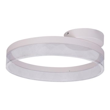 Globo - LED-kattovalaisin LED/24W/230V