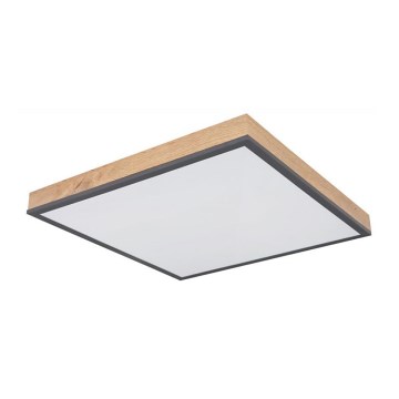 Globo - LED-kattovalaisin LED/24W/230V