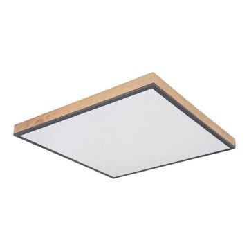 Globo - LED-kattovalaisin LED/36W/230V