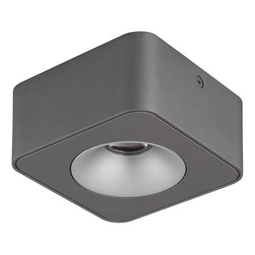 Globo - LED-kattovalaisin LED/6,5W/230V 11,7x11,7 cm