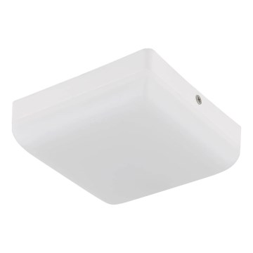 Globo - LED-kattovalaisin LED/8W/230V 4000K 12x12 cm valkoinen