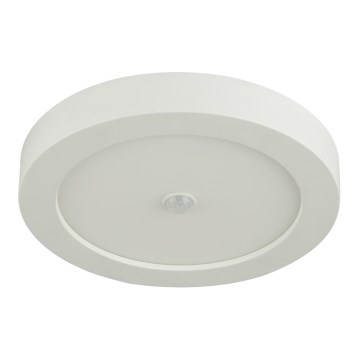 Globo - LED-kattovalaisin ulkokäyttöön liiketunnistimella LED/18W/230V IP44