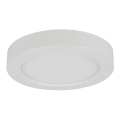 Globo - LED-kylpyhuoneen kattovalaisin LED/18W/230V IP44