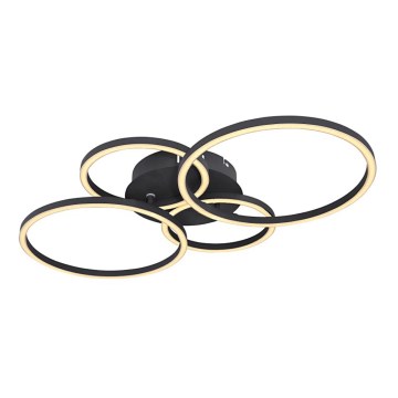 Globo - LED Pinta-asetettava kattokruunu LED/40W/230V