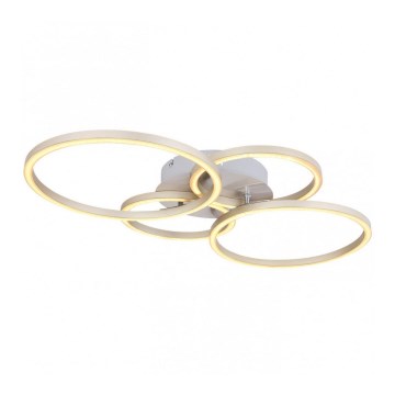 Globo - LED Pinta-asetettava kattokruunu LED/40W/230V