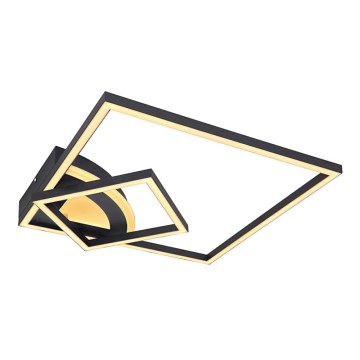 Globo - LED Pinta-asetettava kattokruunu LED/40W/230V