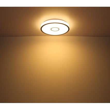 Globo- LED RGB himmennettävä kylpyhuonevalaisin LED/30W/230V IP44 Wi-Fi Tuya + kaukosäädin