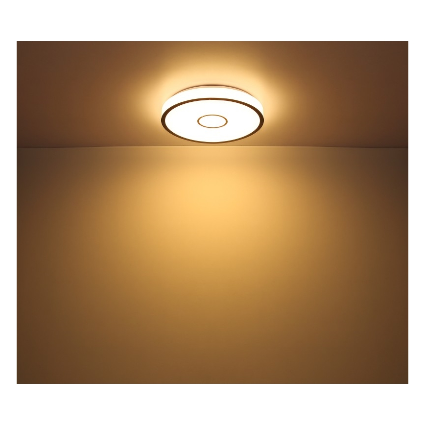 Globo- LED RGB himmennettävä kylpyhuonevalaisin LED/30W/230V IP44 Wi-Fi Tuya + kaukosäädin