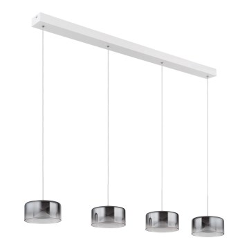 Globo - LED-riippuvalaisin vaijerilla LED/24W/230V valkoinen/savunharmaa