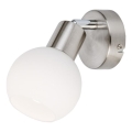 Globo - LED-seinävalaisin 1xE14/5W/230V