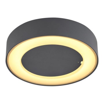 Globo - LED-ulkokattovalaisin LED/12W/230V IP54