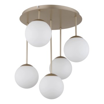 Globo - Pintaan asennettava kattovalaisin 5xE14/25W/230V messinki