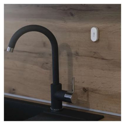 GoSmart digitaalinen langaton lämpömittari 1×CR2032