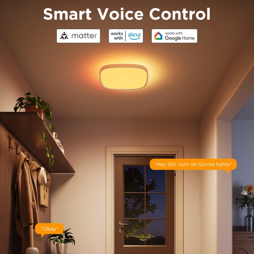 Govee - LED RGBIC Himmennettävä kattovalaisin LED/24W/230V 2700-6500K Wi-Fi 30x30 cm