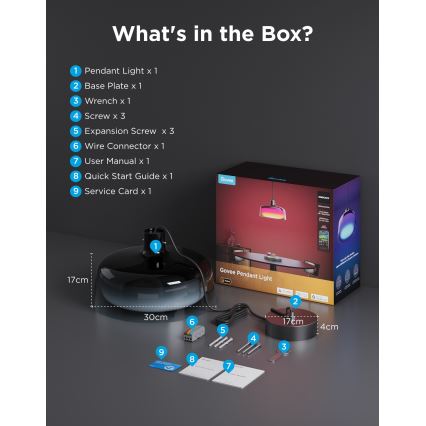 Govee - LED RGBICWW himennettävä vaijeririippuvalaisin LED/21W/230V Matter Wi-Fi