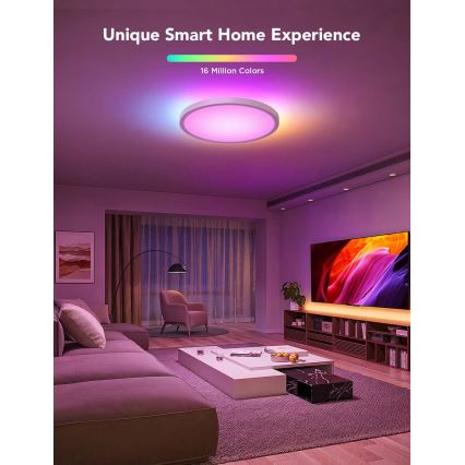 Govee - LED RGBICWW Himmennettävä kattovalaisin LED/29W/230V Ø 30 cm mattapintainen Wi-Fi