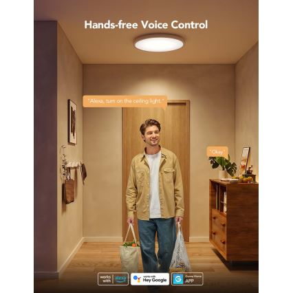 Govee - LED RGBICWW Himmennettävä kattovalaisin LED/29W/230V Ø 30 cm mattapintainen Wi-Fi