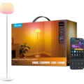 Govee - LED RGBICWW Himmennettävä lattiavalaisin LANTERN MATTER LED/24W/230V Wi-Fi 160 cm