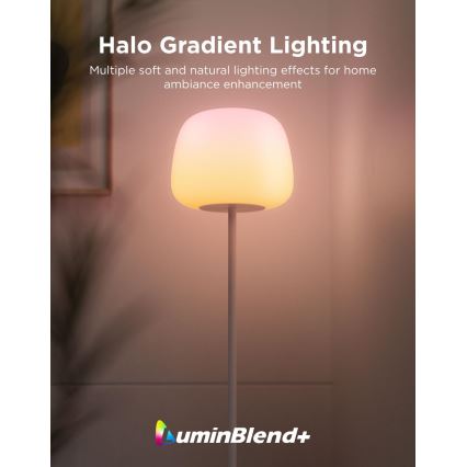 Govee - LED RGBICWW Himmennettävä lattiavalaisin LANTERN MATTER LED/24W/230V Wi-Fi 160 cm