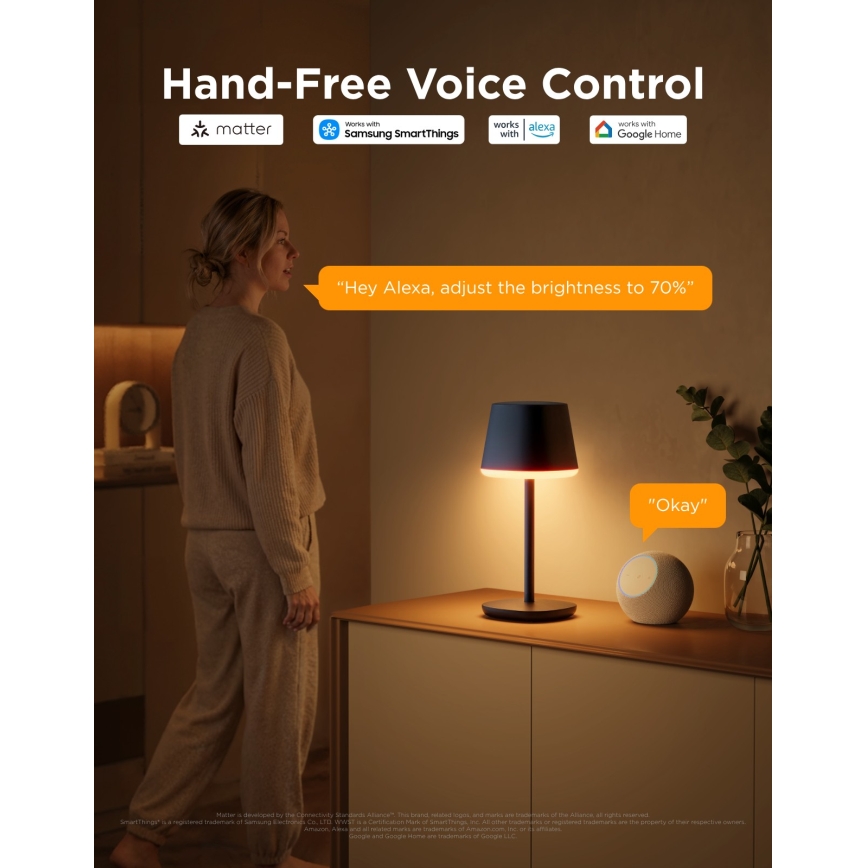 Govee - LED RGBICWW Himmennettävä pöytälamppu CLASSIC MATTER LED/10W/5V 4800mAh Wi-Fi