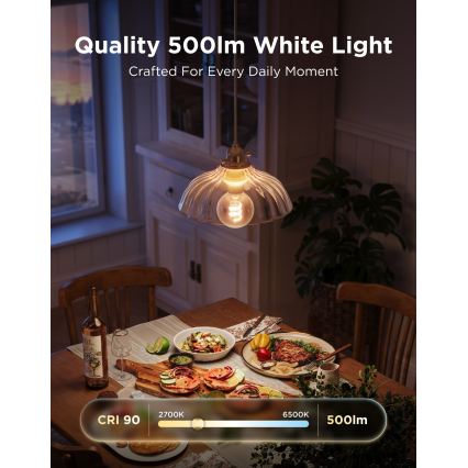 Govee - LED RGBWW Himmennettävä lamppu Smart MATTER G80 E27/5W/230V 2700-6500K Wi-Fi