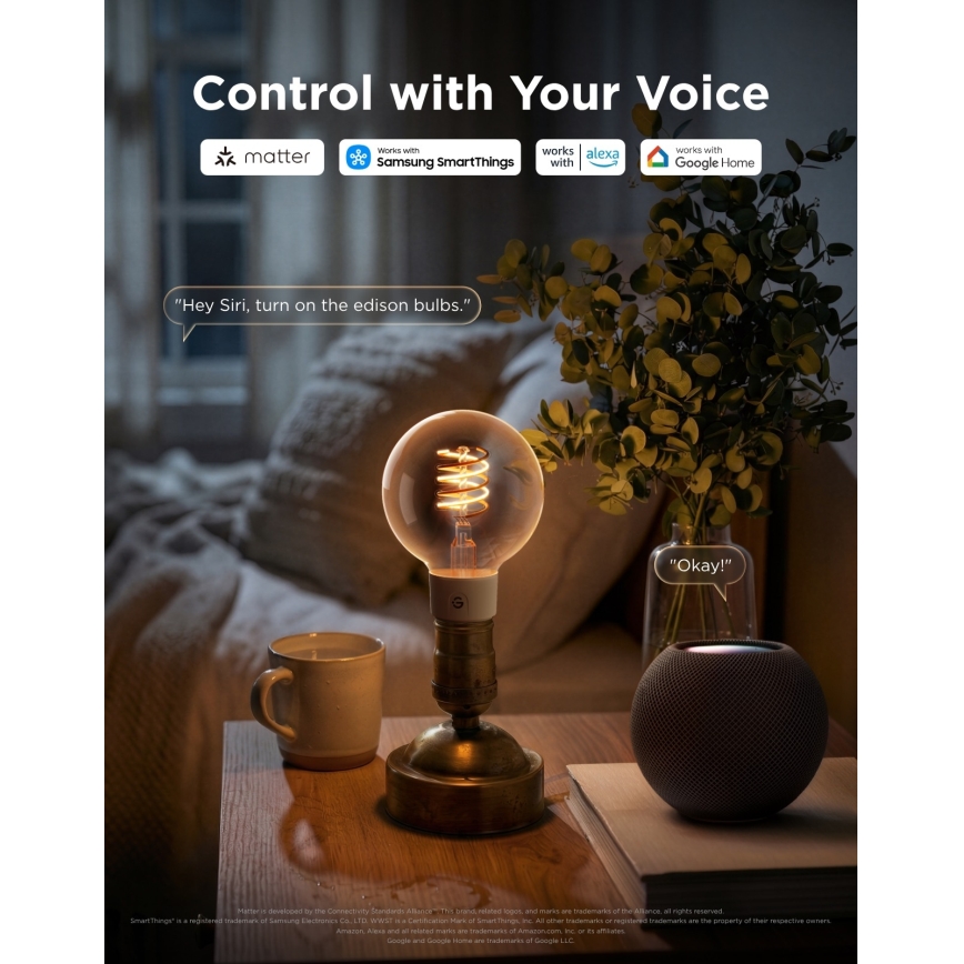 Govee - LED RGBWW Himmennettävä lamppu Smart MATTER G80 E27/5W/230V 2700-6500K Wi-Fi