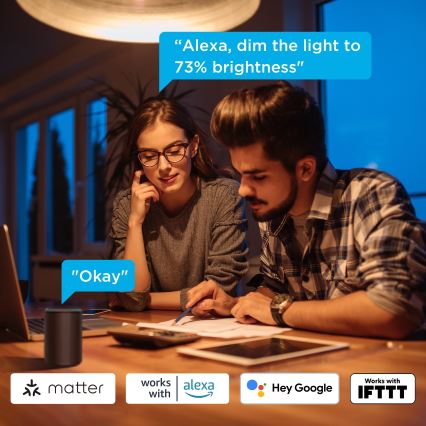 Govee - Setti 2x himmennettävät LED-lamput Smart MATTER A60 E27/9W/230V 2700-6500K Wi-Fi