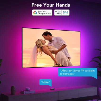 Govee - TV 40-50 älykäs LED taustavalo RGBIC Wi-Fi