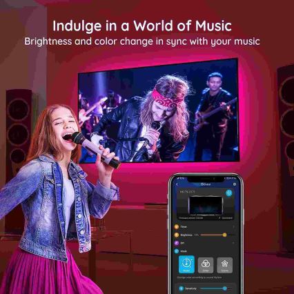 Govee - TV 46-60 SMART LED taustavalo RGB + kauko-ohjaus
