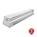 Greenlux GXWP170 - LED-putkityövalo DUST PROFI LED/30W/230V IP66