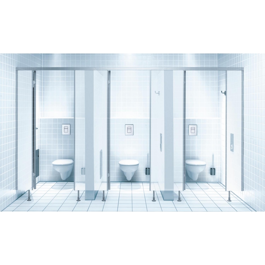 GROHE 38732SD0 - Huuhtelupainike SKATE COSMOPOLITAN 156 × 197 mm ruostumaton teräs